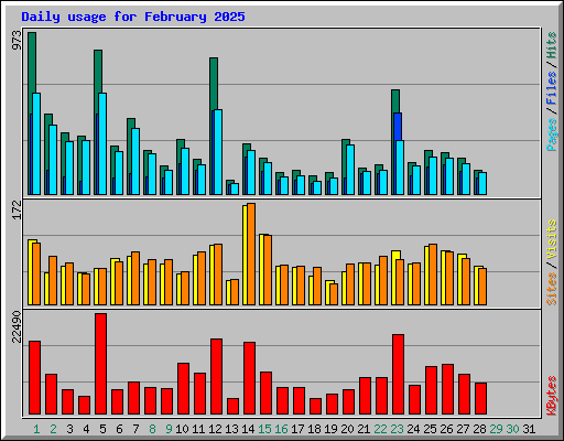 Daily usage for February 2025