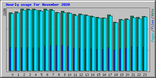 Hourly usage for November 2020