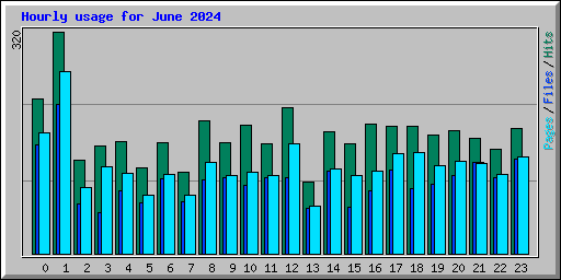 Hourly usage for June 2024