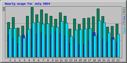 Hourly usage for July 2024