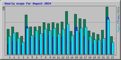 Hourly usage for August 2024