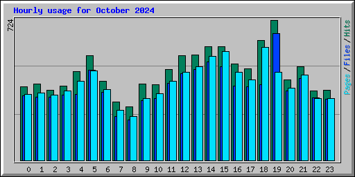 Hourly usage for October 2024