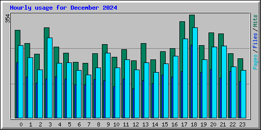 Hourly usage for December 2024