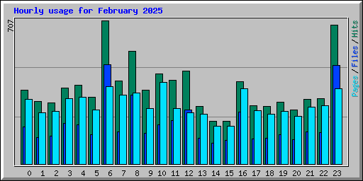 Hourly usage for February 2025